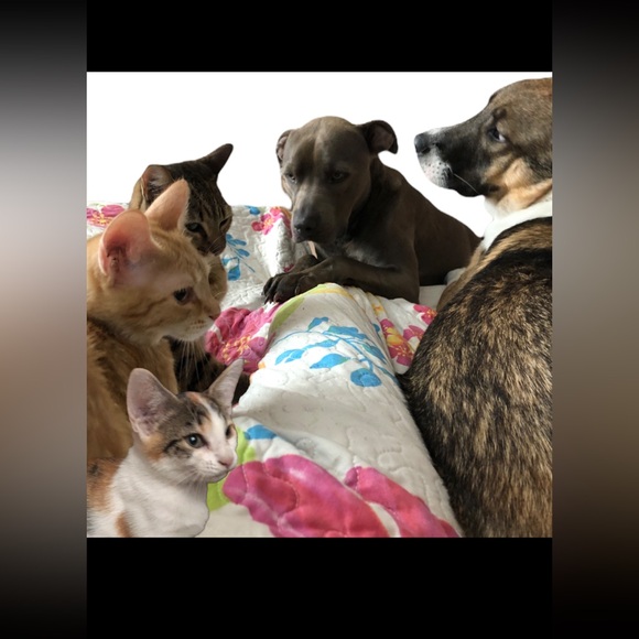 Meet your Posher, Geline - Picture 5 of 8